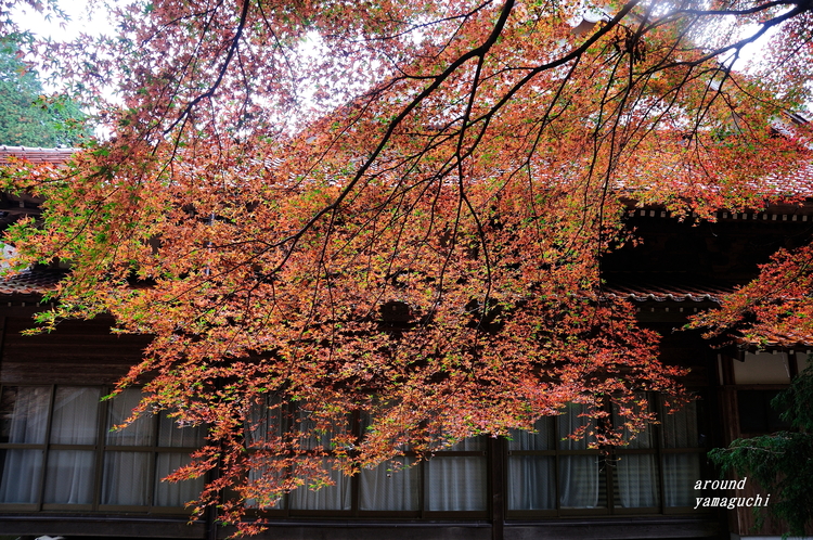 俵山西念寺08.jpg