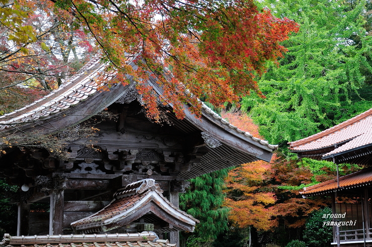 俵山西念寺10.jpg