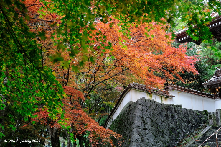 俵山西念寺13.jpg