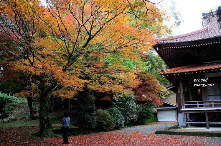 俵山西念寺14.jpg
