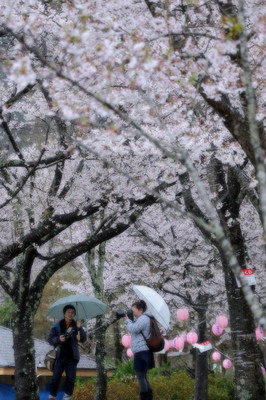 八千代湖11.jpg