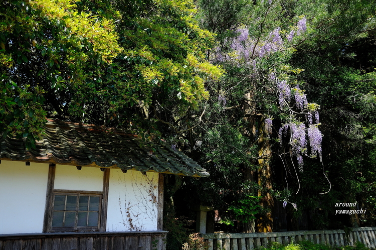 出雲神社01.jpg