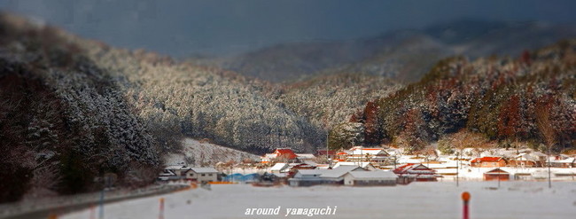 十種ヶ峰周辺20.jpg