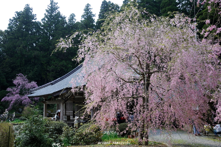 南原寺00.jpg