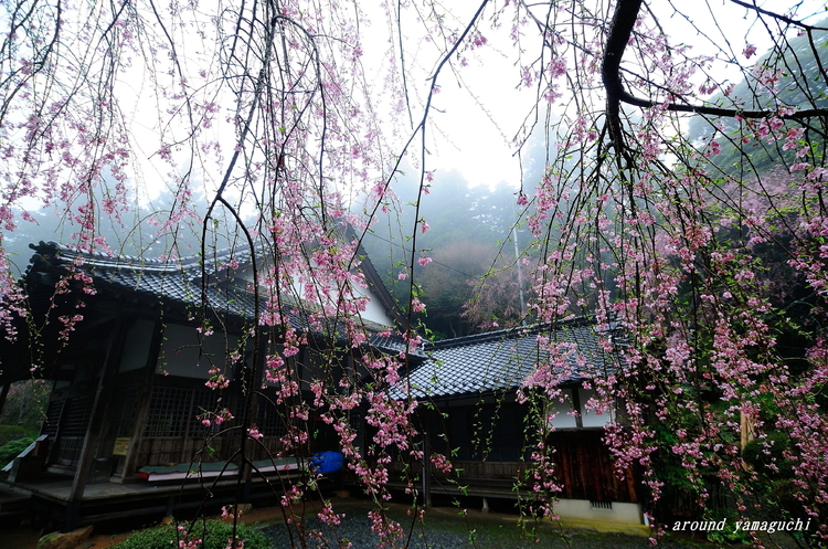 南原寺01.jpg