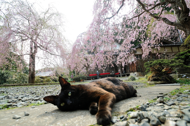 南原寺03.jpg
