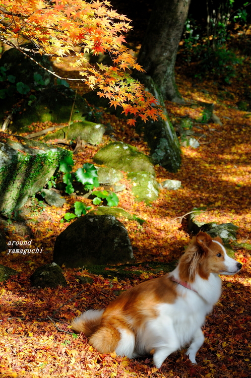 南原寺04.jpg