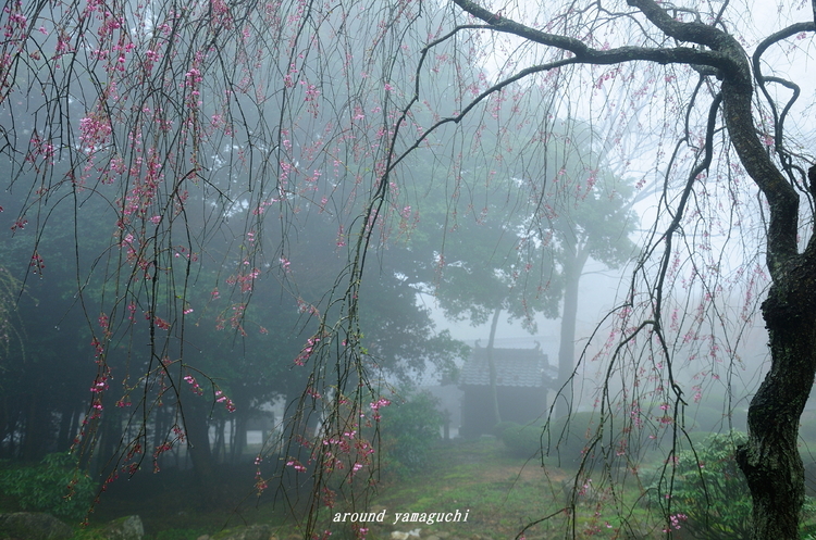 南原寺04.jpg