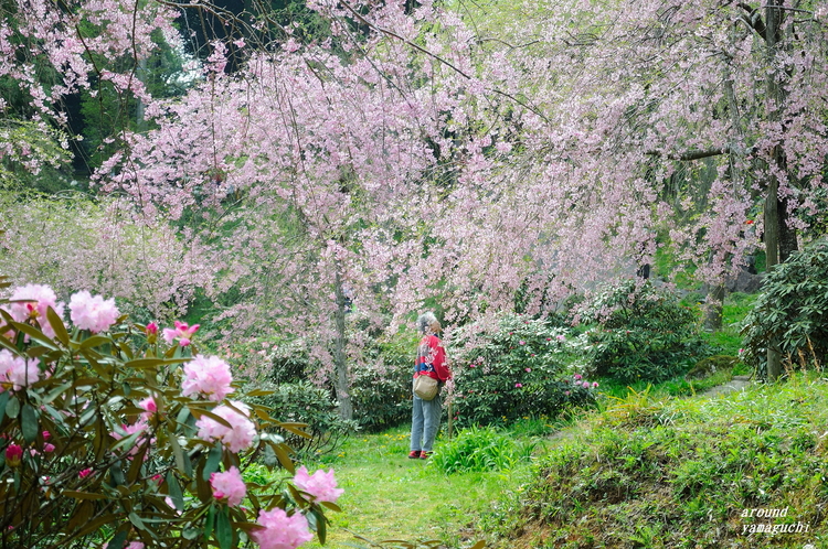 南原寺06.jpg