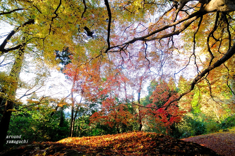 南原寺07.jpg