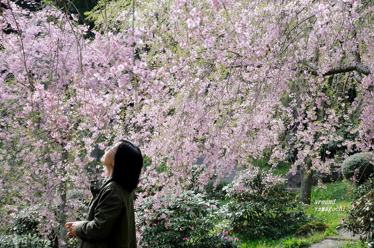 南原寺07.jpg