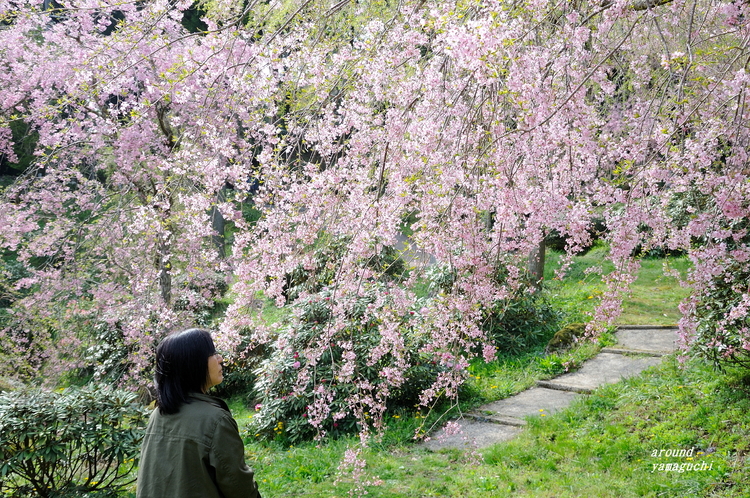 南原寺08.jpg