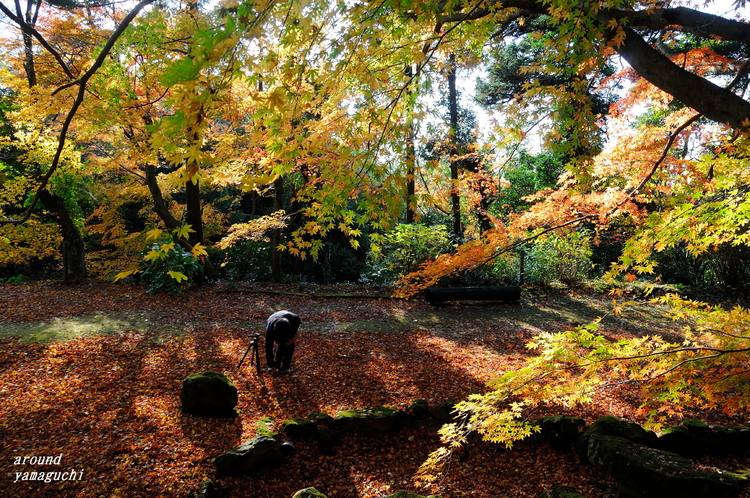 南原寺09.jpg