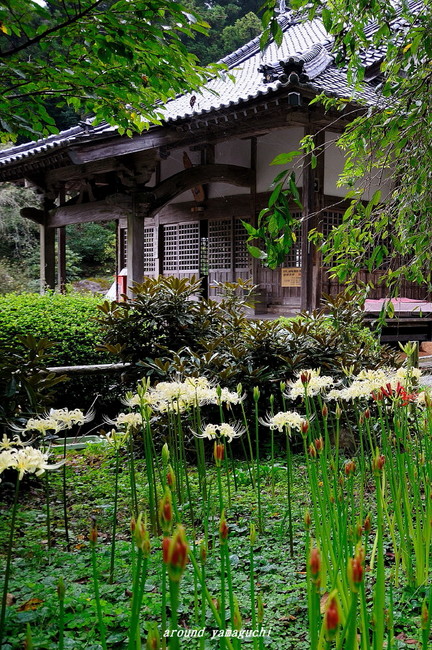 南原寺10.jpg