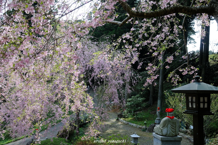 南原寺11.jpg