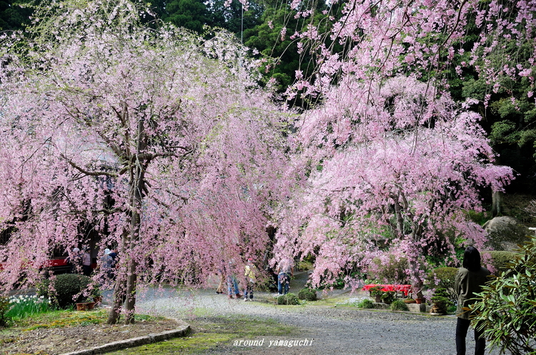 南原寺12.jpg