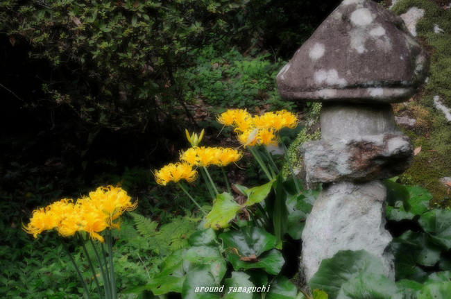 南原寺18.jpg