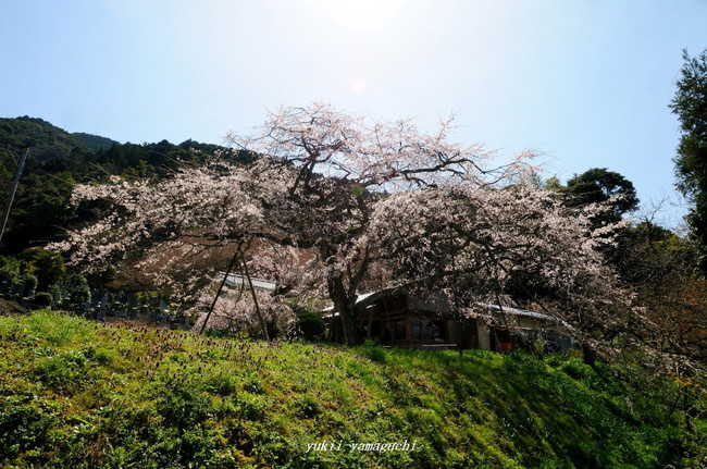 南明寺01.jpg