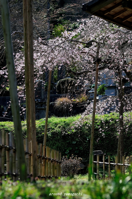 南明寺02.jpg