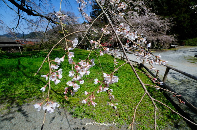 南明寺03.jpg