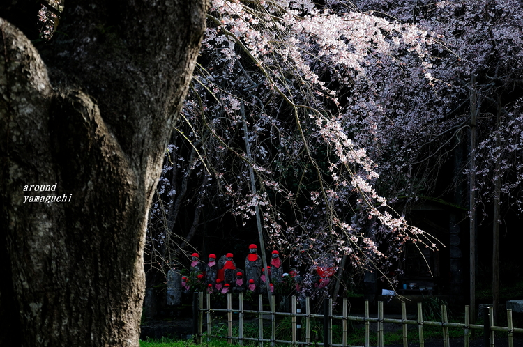 南明寺04.jpg