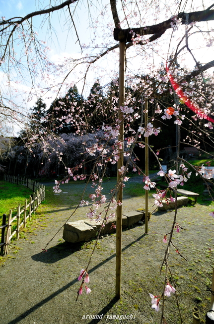 南明寺05.jpg