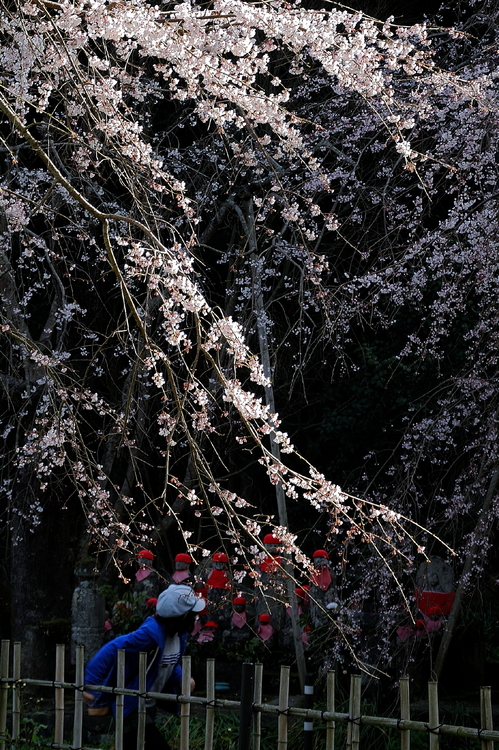 南明寺08.jpg