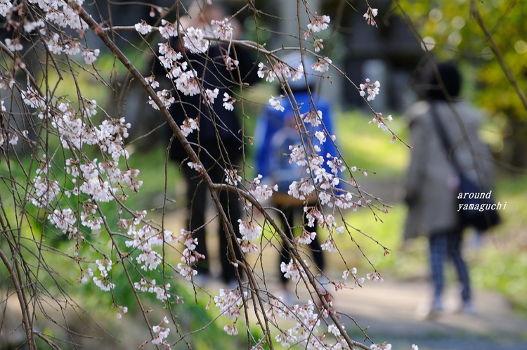 南明寺10.jpg