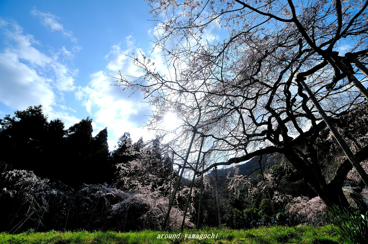 南明寺12.jpg