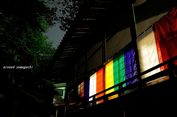 吉祥寺藤棚28.jpg