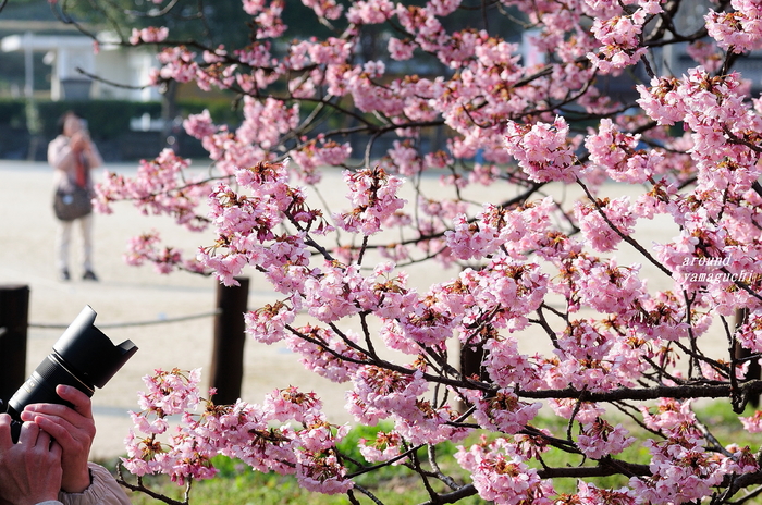 向島小学校04.jpg