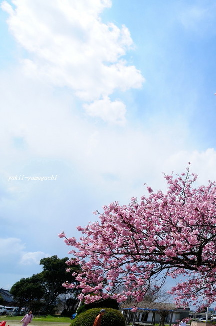 向島小学校05.jpg