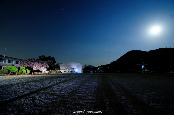 向島小学校12.jpg