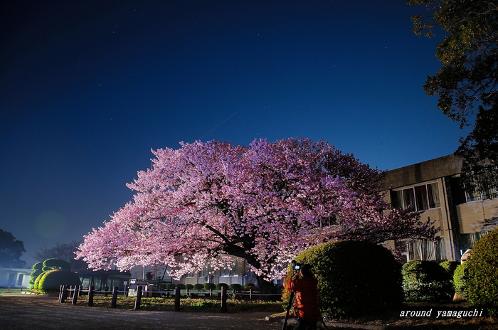 向島小学校18.jpg