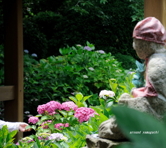 向徳寺13.jpg