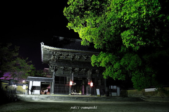 周防国分寺01.jpg