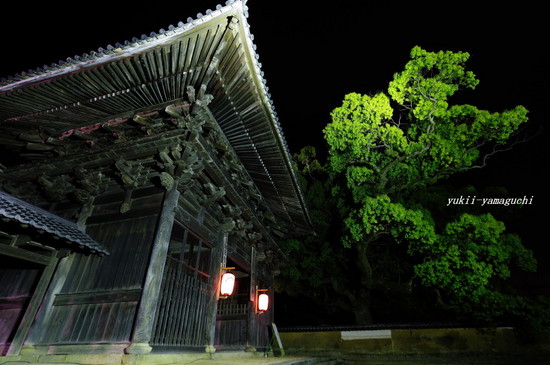 周防国分寺02.jpg
