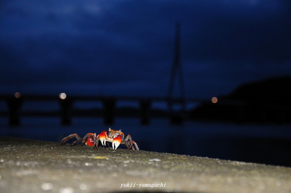 周防大橋06.jpg