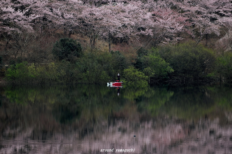 土師ダム04.jpg