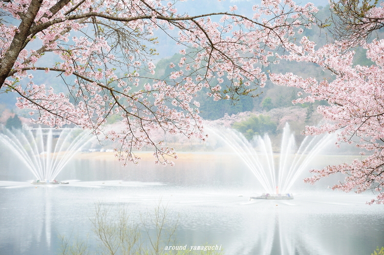 土師ダム08.jpg
