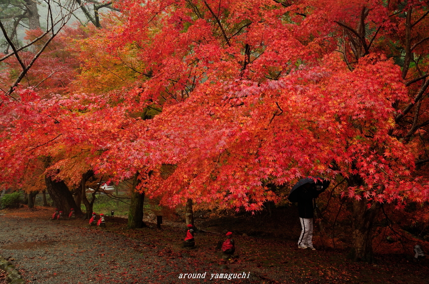 大寧寺01.jpg