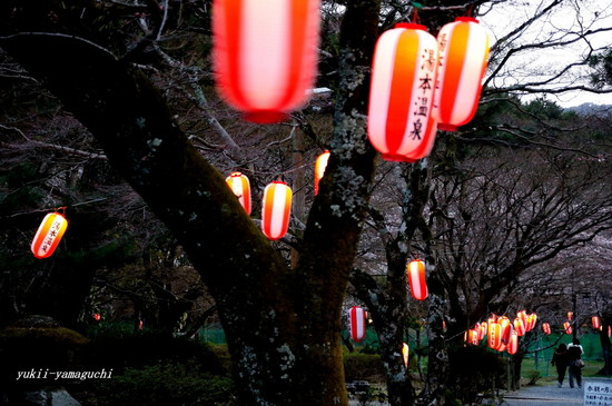 大寧寺01.jpg