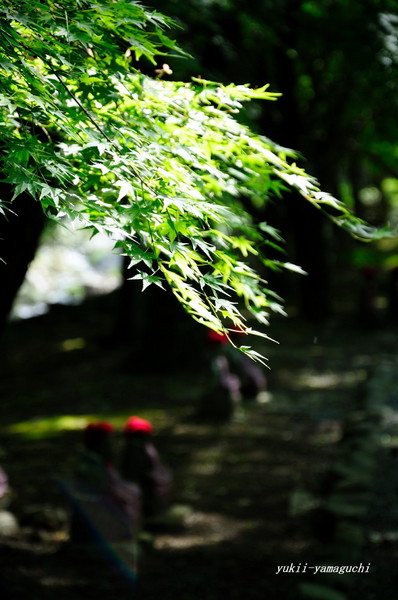 大寧寺03.jpg