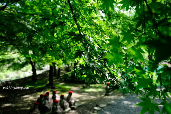 大寧寺04.jpg