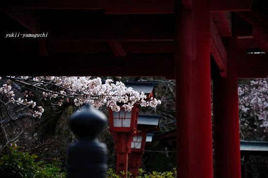 大寧寺05.jpg