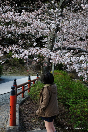 大寧寺06.jpg