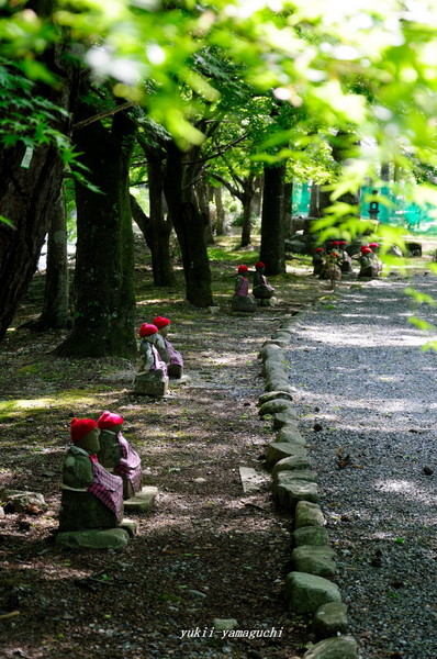 大寧寺07.jpg