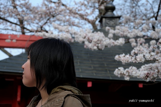大寧寺07.jpg