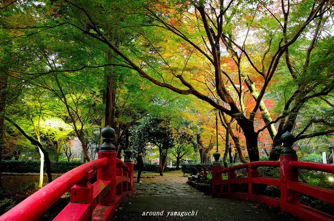 大寧寺08.jpg