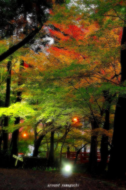 大寧寺15.jpg